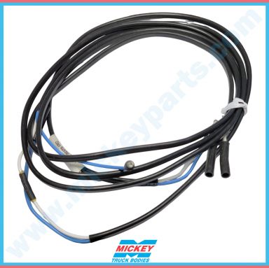 VAN BODY DOME LIGHT EXTENSION W/REAR SW (#3)